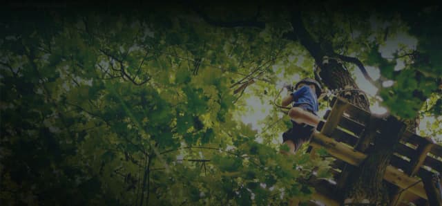 Park linowy Gibon w Przasnyszu - atrakcje, ceny i opinie odwiedzających
