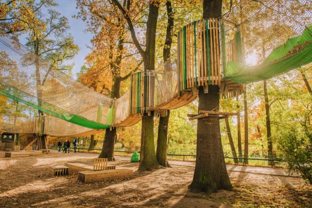 Park linowy Druskienniki - atrakcje, ceny biletów i opinie odwiedzających