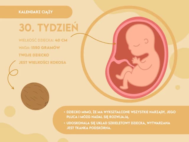 Jak wygląda dziecko w 30 tygodniu ciąży? Rozwój, ruchy i zmysły malucha